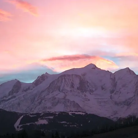 Le Chamois D'or Hotel 4*